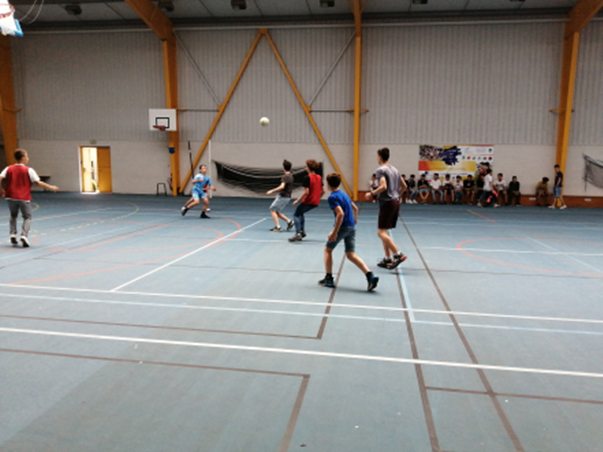 Futsal Coll Ge Saint Joseph De Savenay